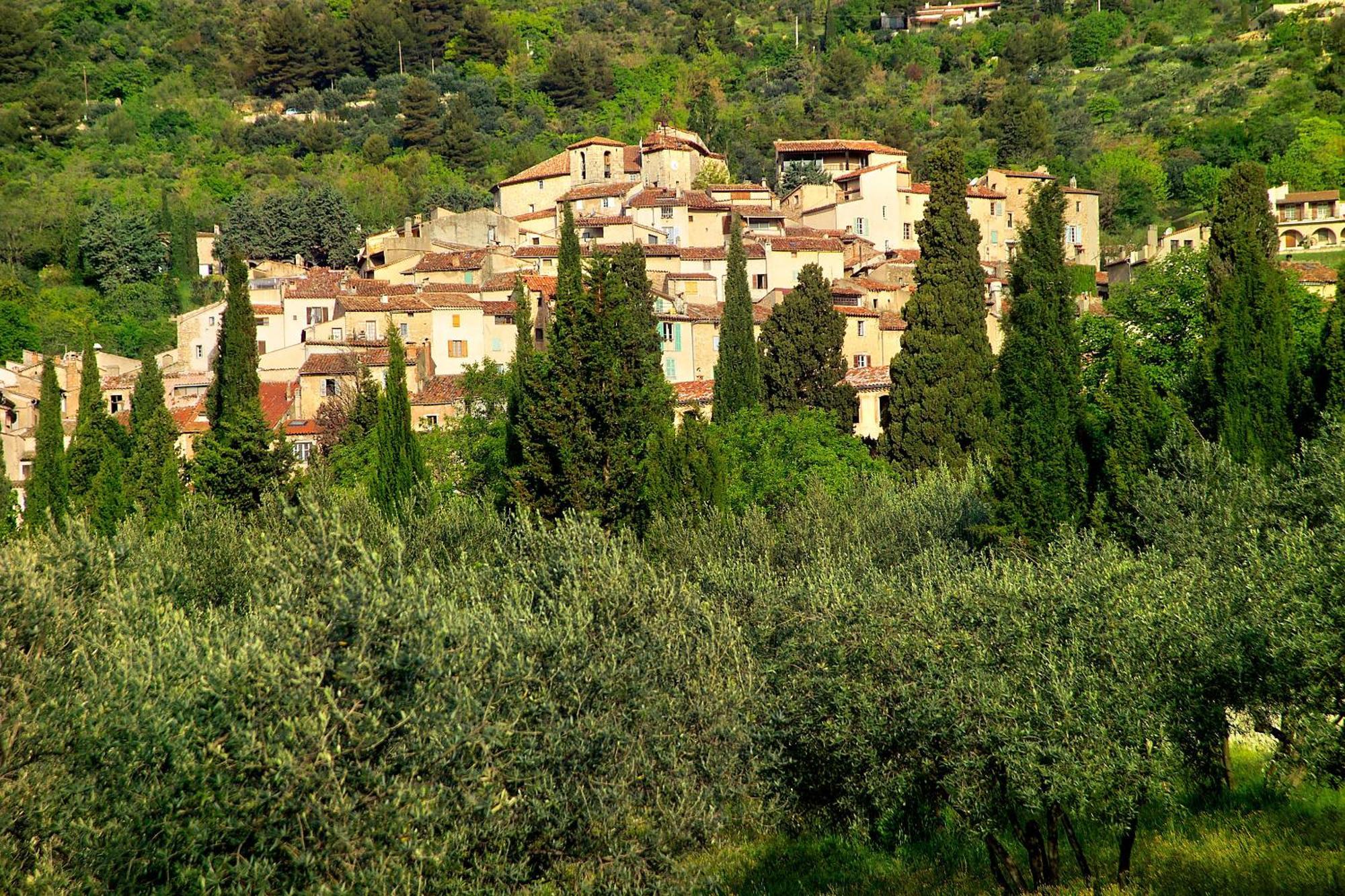 Hotel Restaurant Des Deux Rocs Seillans Εξωτερικό φωτογραφία